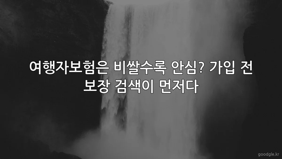 여행자보험은 비쌀수록 안심? 가입 전 보장 검색이 먼저다
