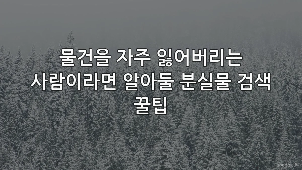 물건을 자주 잃어버리는 사람이라면 알아둘 분실물 검색 꿀팁