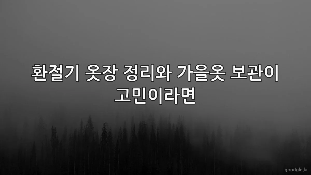 환절기 옷장 정리와 가을옷 보관이 고민이라면