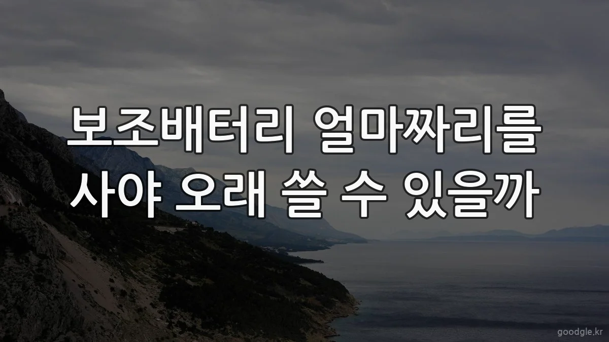 보조배터리 얼마짜리를 사야 오래 쓸 수 있을까