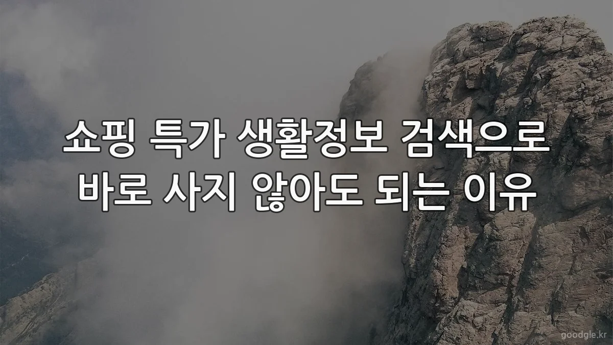 쇼핑 특가 생활정보 검색으로 바로 사지 않아도 되는 이유