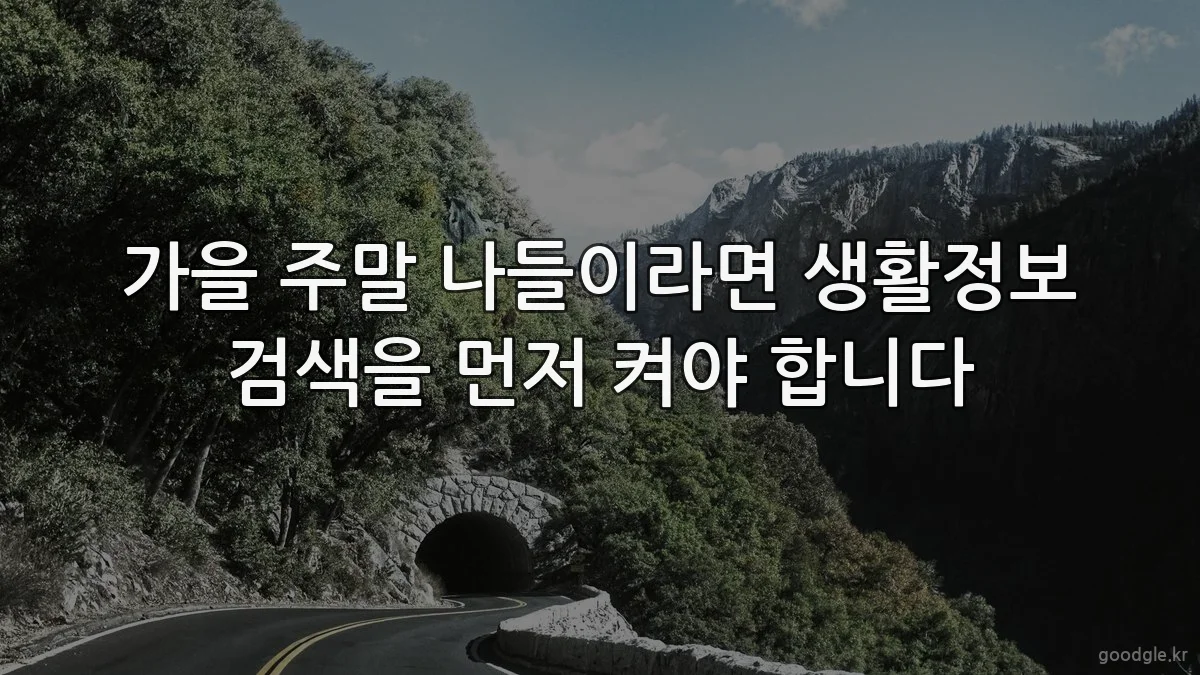 가을 주말 나들이라면 생활정보 검색을 먼저 켜야 합니다