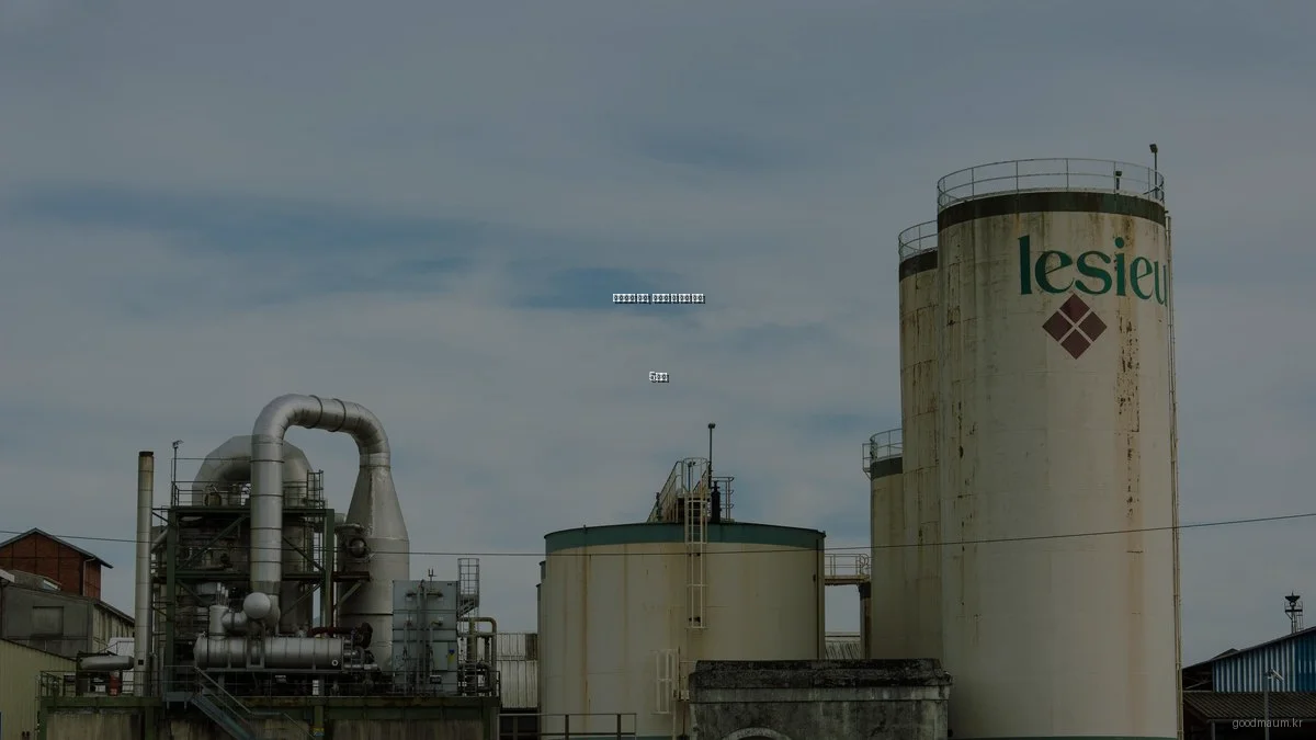 심리상담 실패, 피해야 할 흔한 실수 5가지