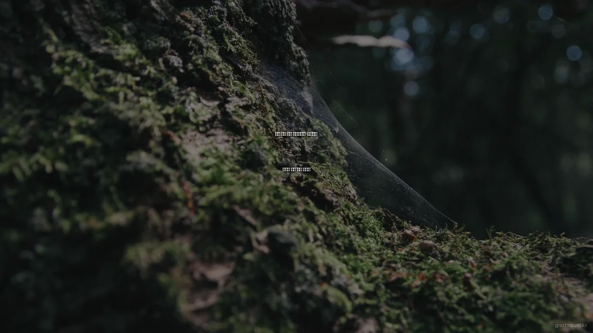 심리 상담 준비 체크리스트: 성공적인 상담을 위한 필수 가이드