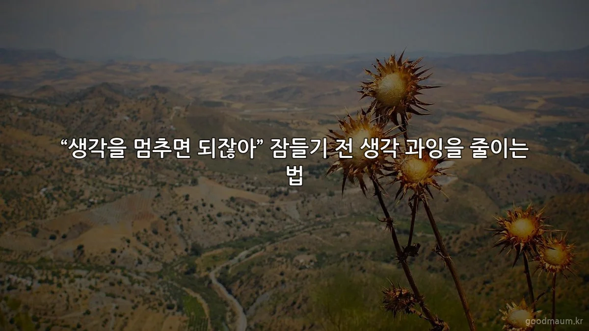 “생각을 멈추면 되잖아” 잠들기 전 생각 과잉을 줄이는 법