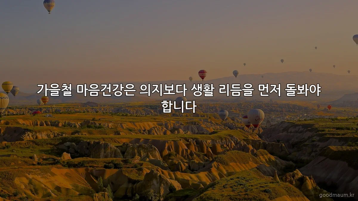 가을철 마음건강은 의지보다 생활 리듬을 먼저 돌봐야 합니다