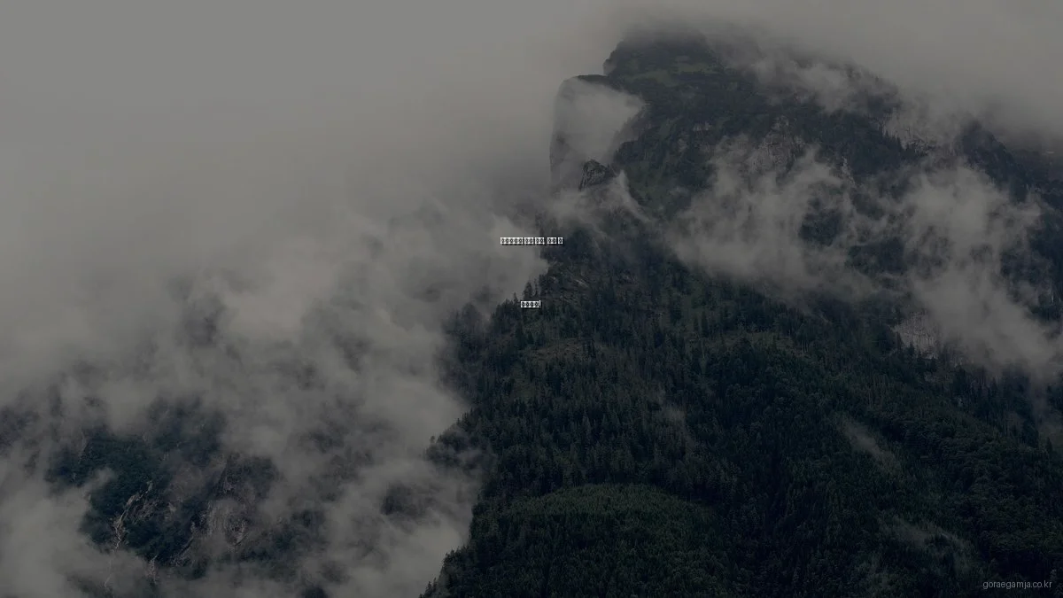 고래감자탕 조리 실수, 이건 꼭 피하세요!