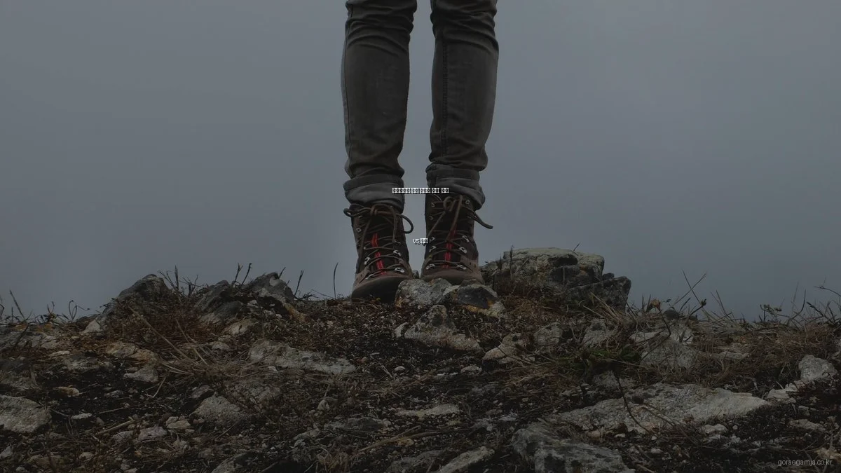 고래감자탕 고기 부위별 비교: 목살 vs 등심