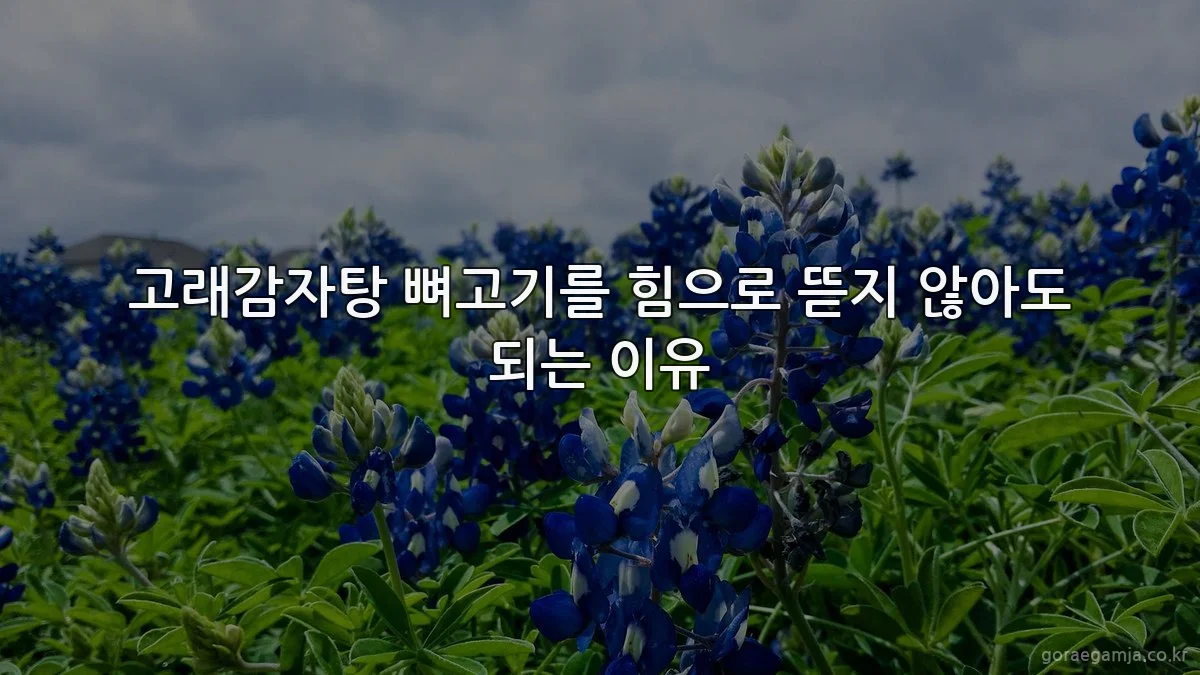 고래감자탕 뼈고기를 힘으로 뜯지 않아도 되는 이유