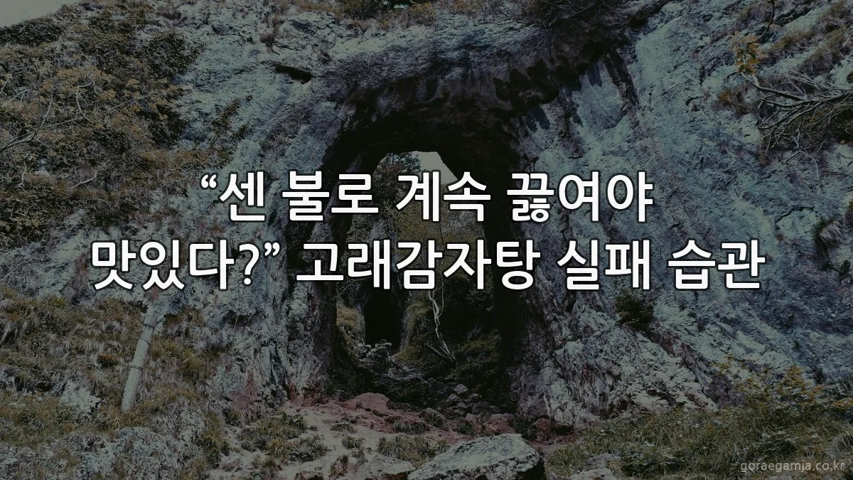 “센 불로 계속 끓여야 맛있다?” 고래감자탕 실패 습관