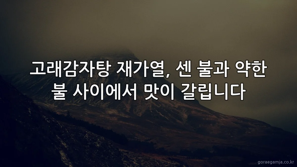고래감자탕 재가열, 센 불과 약한 불 사이에서 맛이 갈립니다