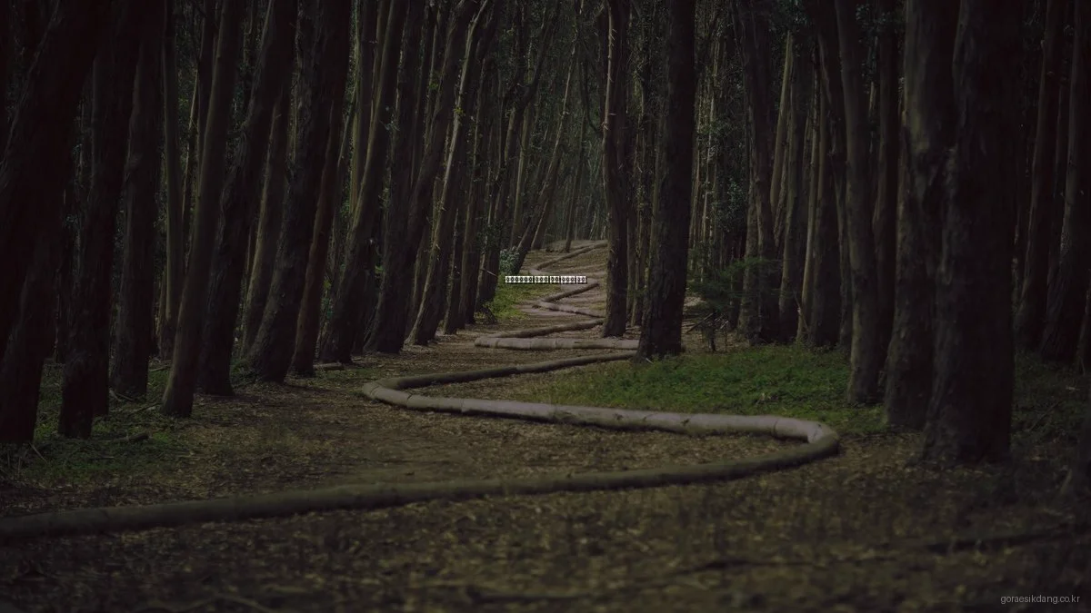 고래식당에서 만나는 전통 집밥의 참맛