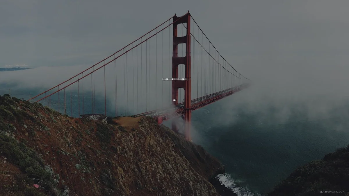 최신 집밥 트렌드 분석: 인기 비결과 전망