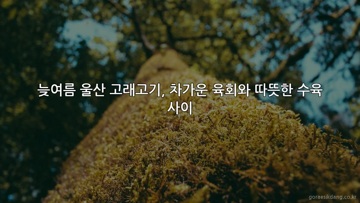 늦여름 울산 고래고기, 차가운 육회와 따뜻한 수육 사이