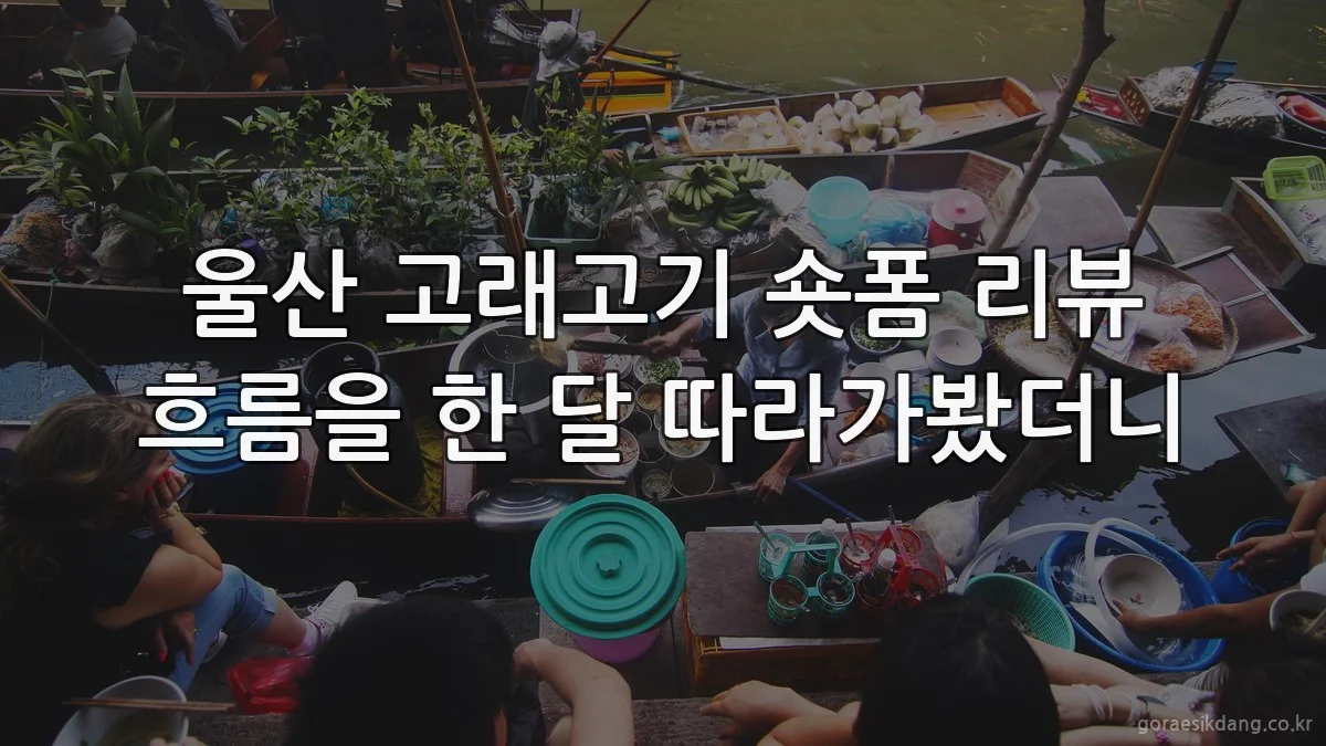 울산 고래고기 숏폼 리뷰 흐름을 한 달 따라가봤더니