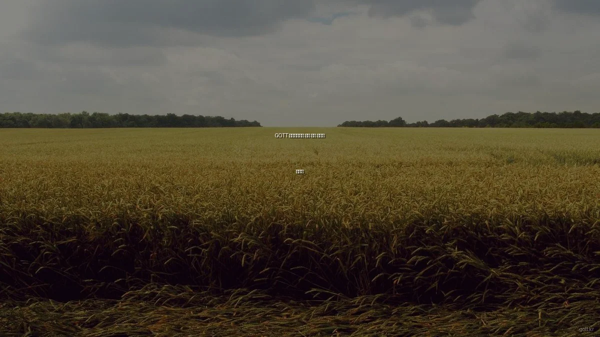 GOTT 라이프스타일 제품 구매 초보자 가이드