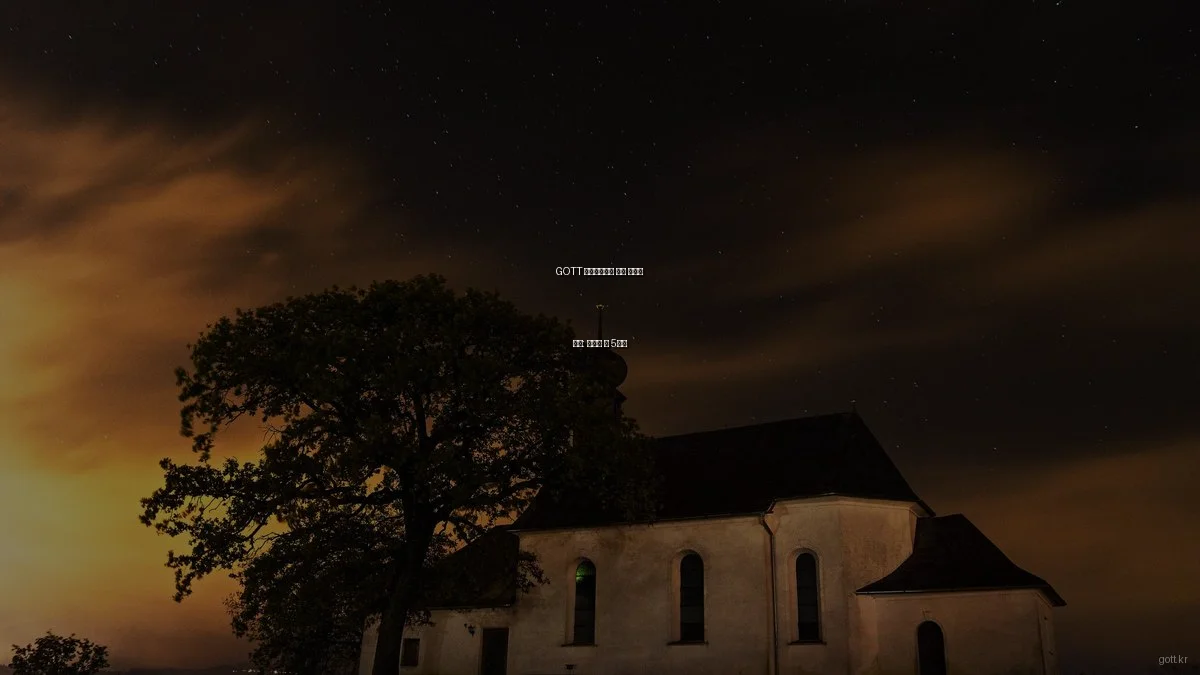 GOTT 라이프스타일 실패 사례와 교훈: 피해야 할 5가지