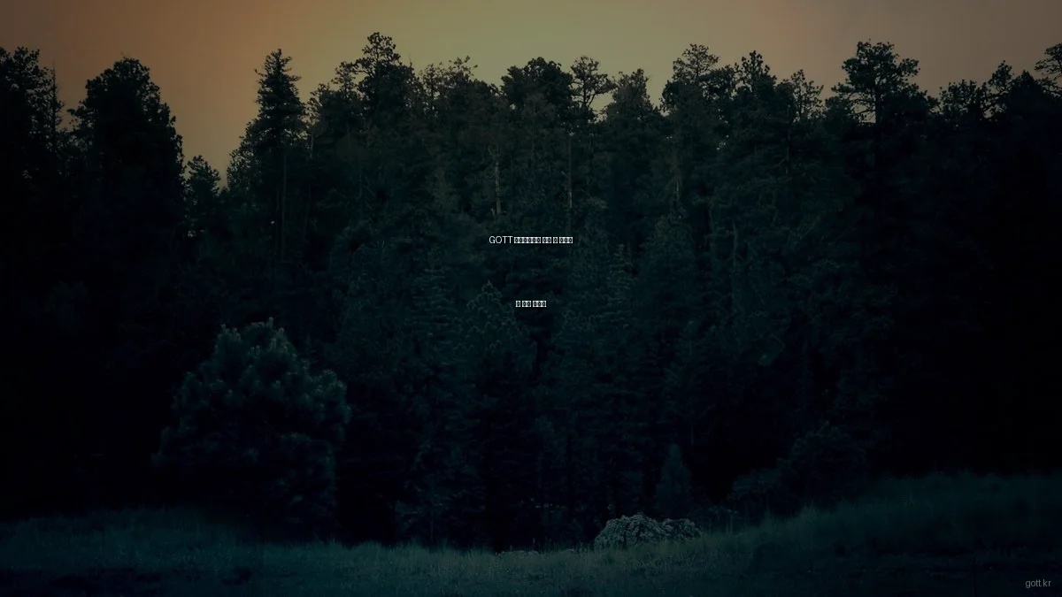 GOTT 라이프스타일 구매 시 피해야 할 흔한 실수들