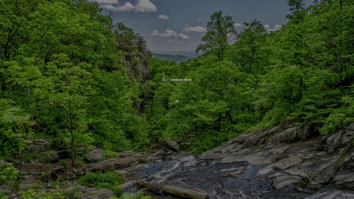 GOTT 라이프스타일 제품 다각도 비교 분석