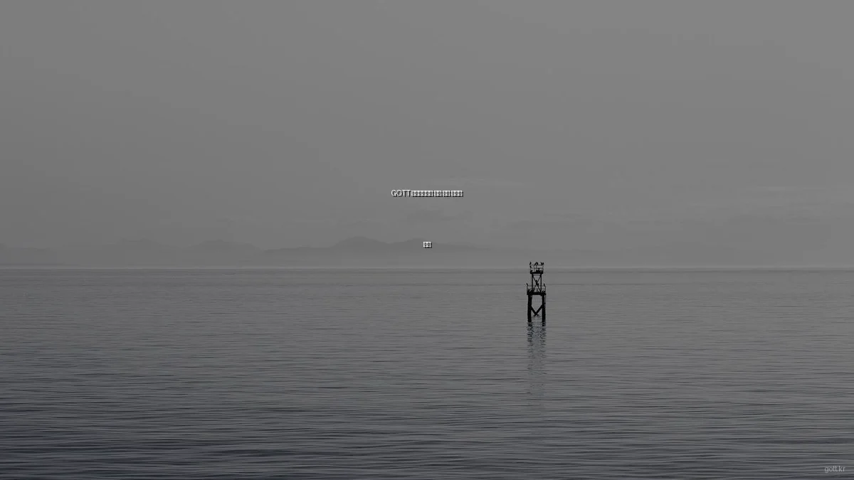 GOTT 라이프스타일 제품 실제 장단점 분석