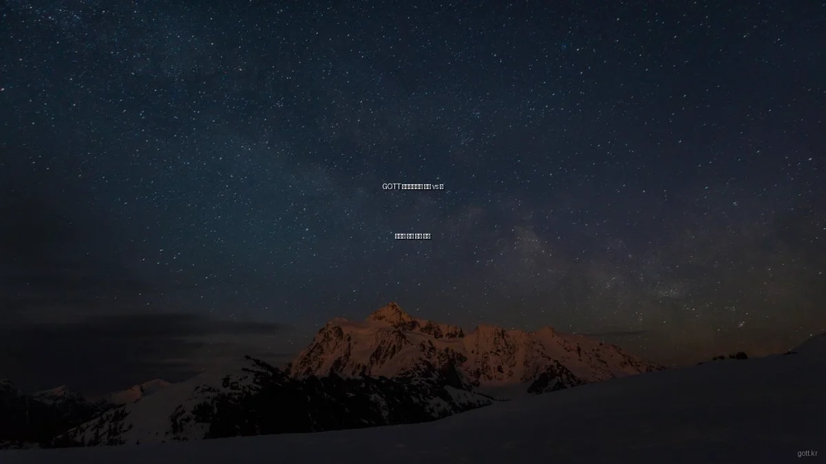 GOTT 라이프스타일 제품 vs 타 브랜드 제품 비교 분석