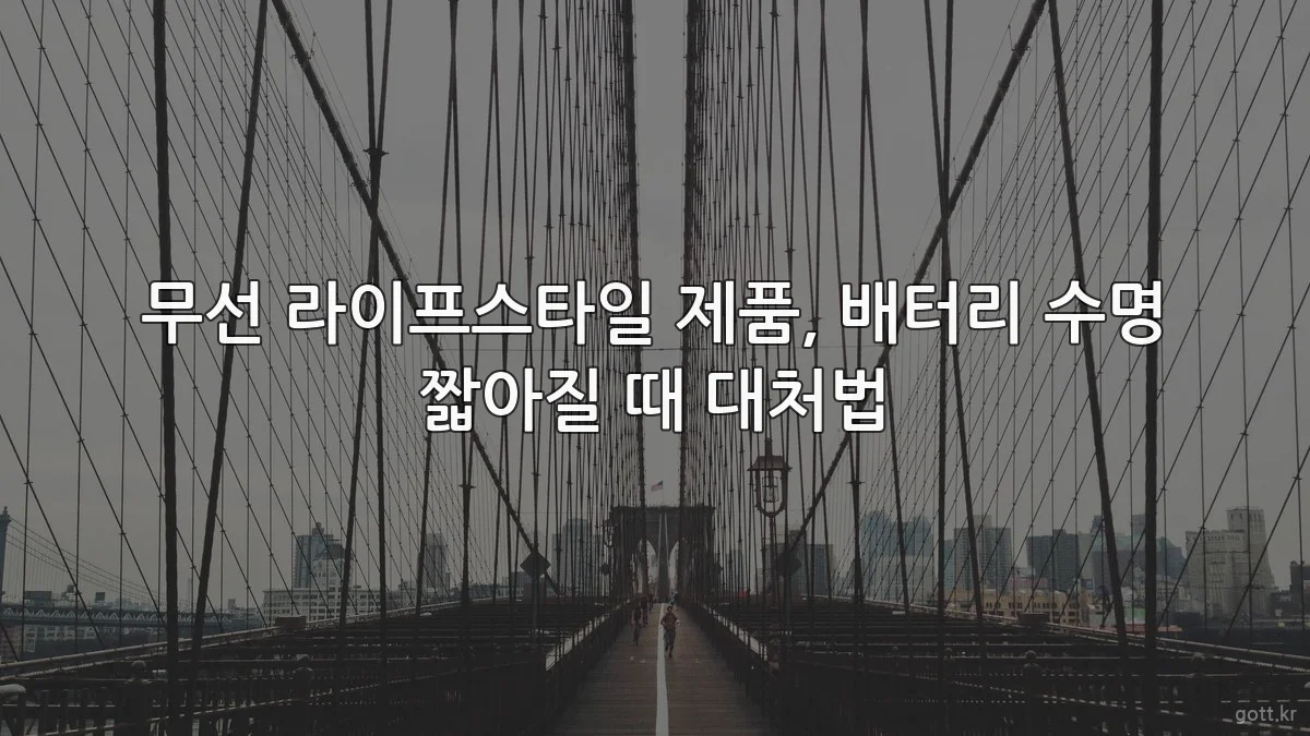 무선 라이프스타일 제품, 배터리 수명 짧아질 때 대처법