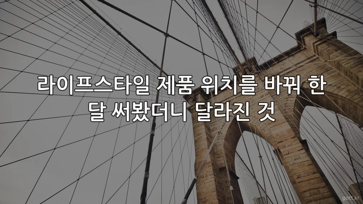 라이프스타일 제품 위치를 바꿔 한 달 써봤더니 달라진 것