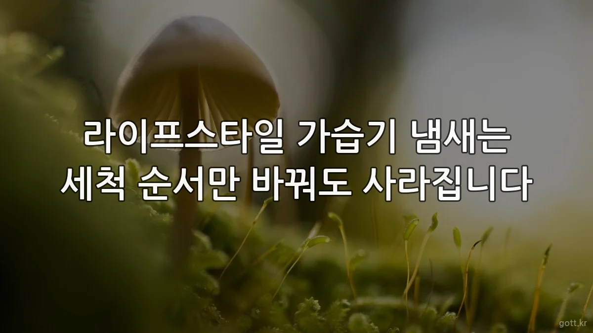 라이프스타일 가습기 냄새는 세척 순서만 바꿔도 사라집니다