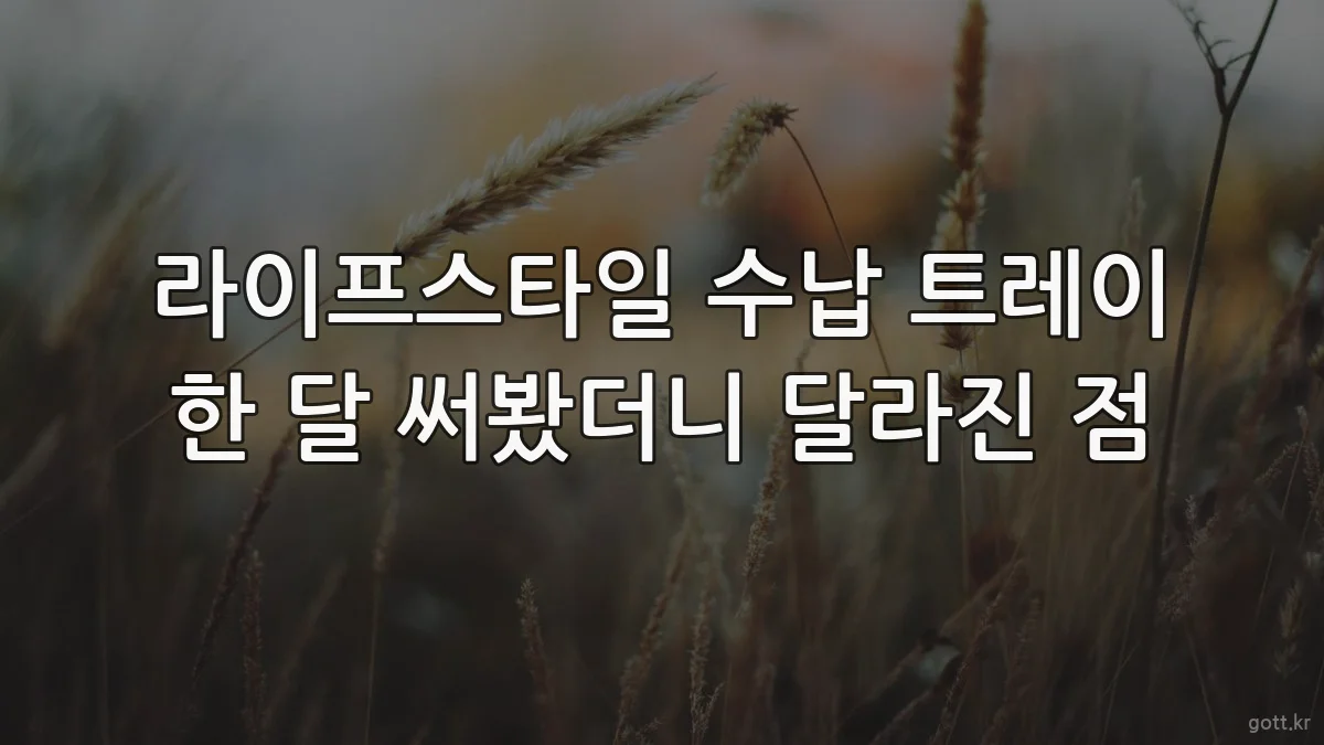 라이프스타일 수납 트레이 한 달 써봤더니 달라진 점
