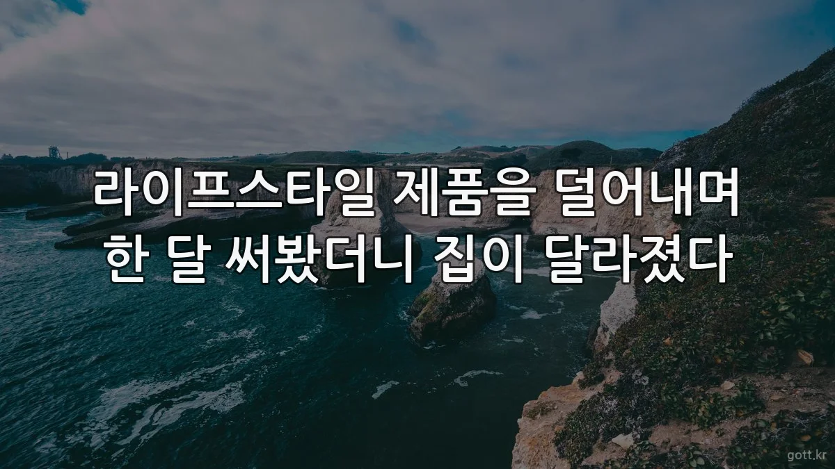 라이프스타일 제품을 덜어내며 한 달 써봤더니 집이 달라졌다