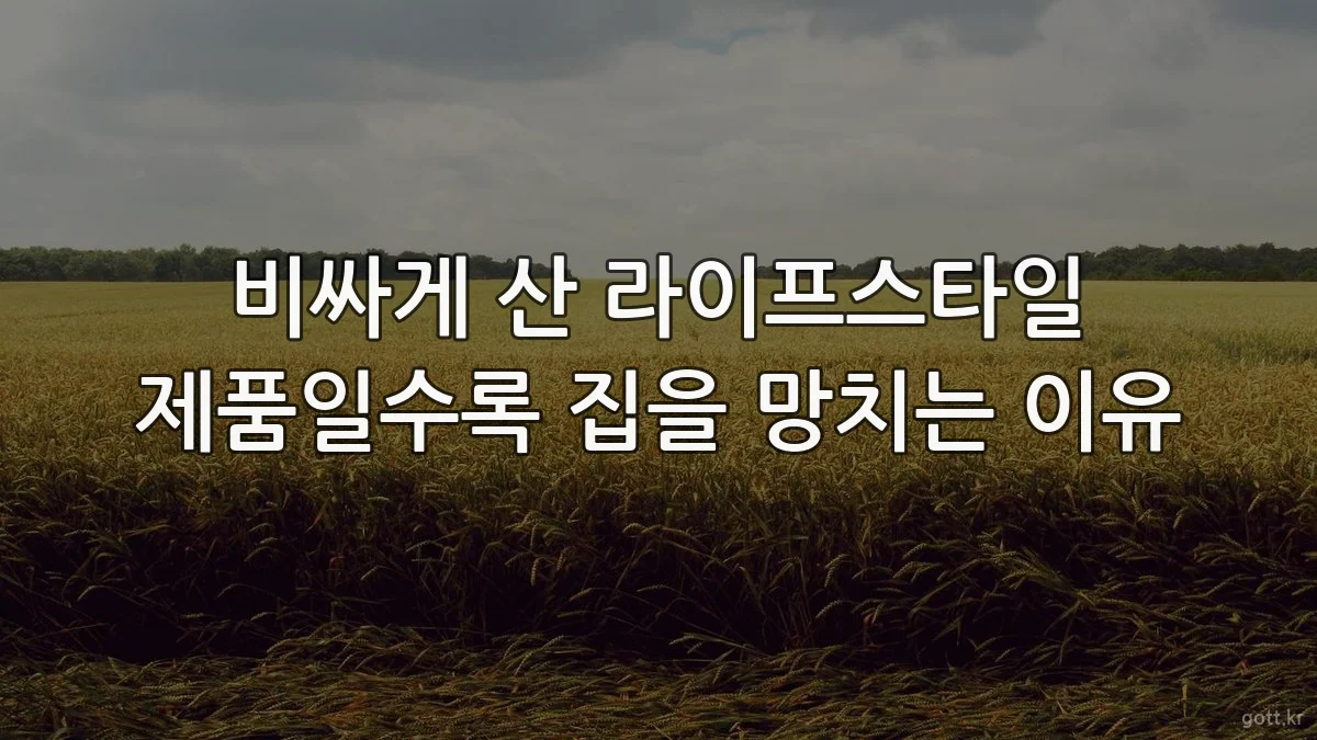 비싸게 산 라이프스타일 제품일수록 집을 망치는 이유