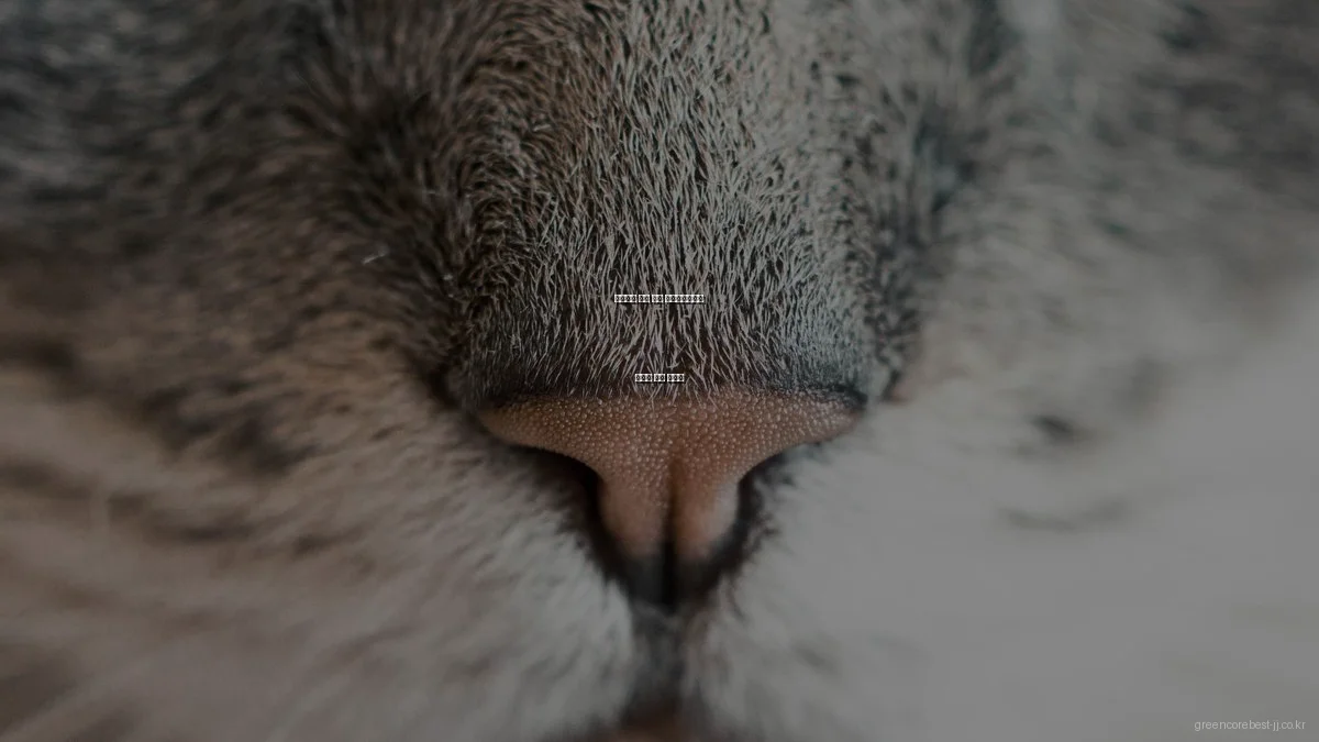 초보자를 위한 전주 그린코어베스트 아파트 분양 가이드