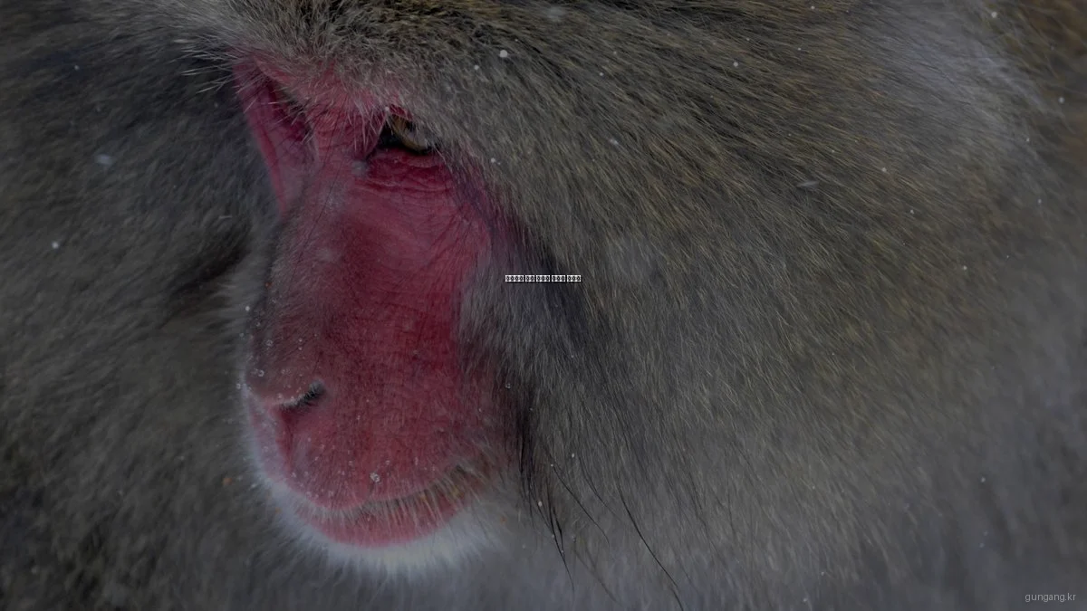 초보자를 위한 건강한 식습관 가이드