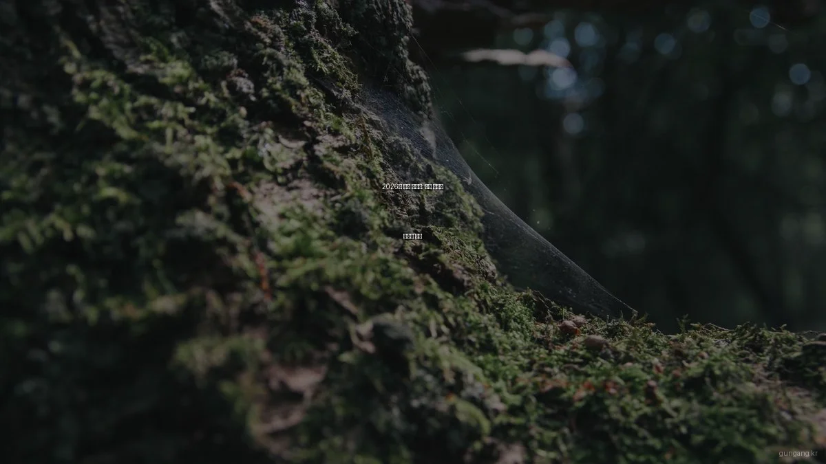 2026년 건강 트렌드: 지속 가능한 웰니스 전략