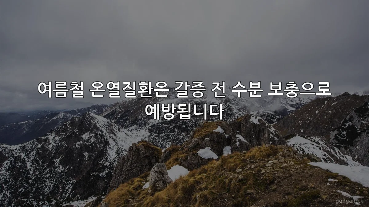 여름철 온열질환은 갈증 전 수분 보충으로 예방됩니다