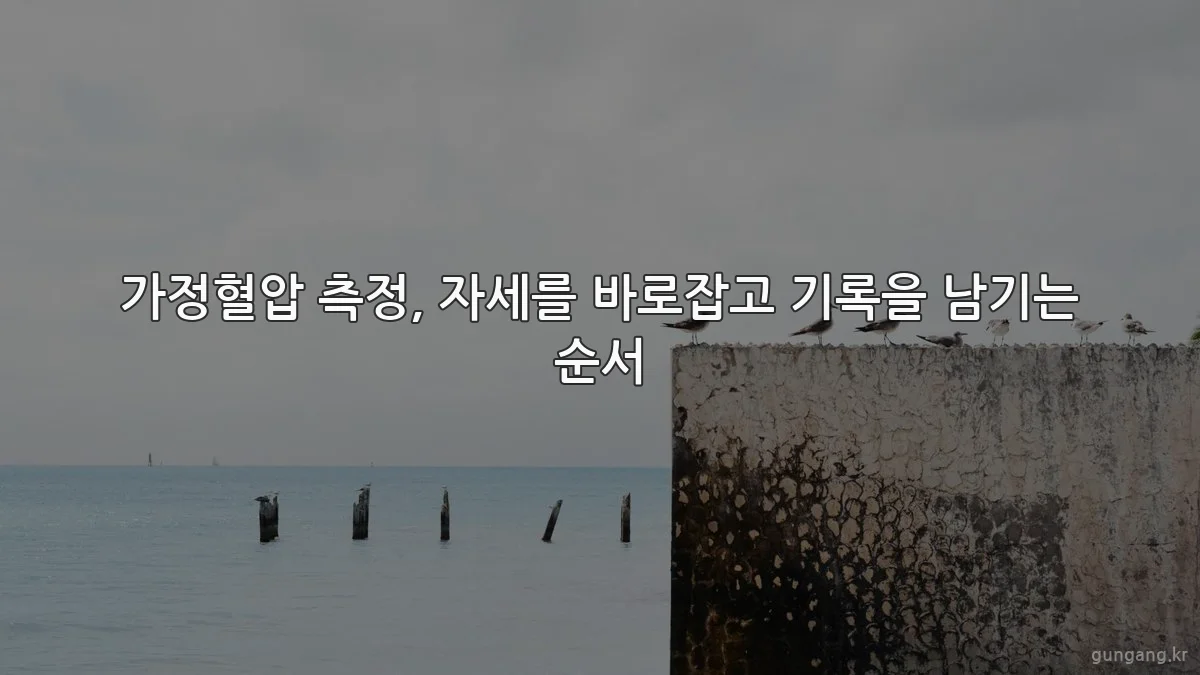 가정혈압 측정, 자세를 바로잡고 기록을 남기는 순서