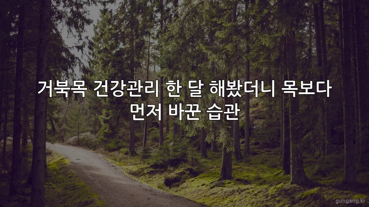 거북목 건강관리 한 달 해봤더니 목보다 먼저 바꾼 습관