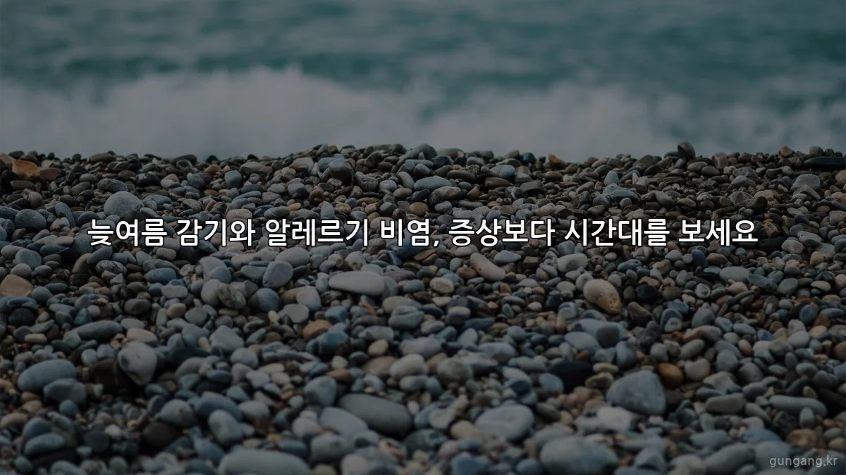 늦여름 감기와 알레르기 비염, 증상보다 시간대를 보세요