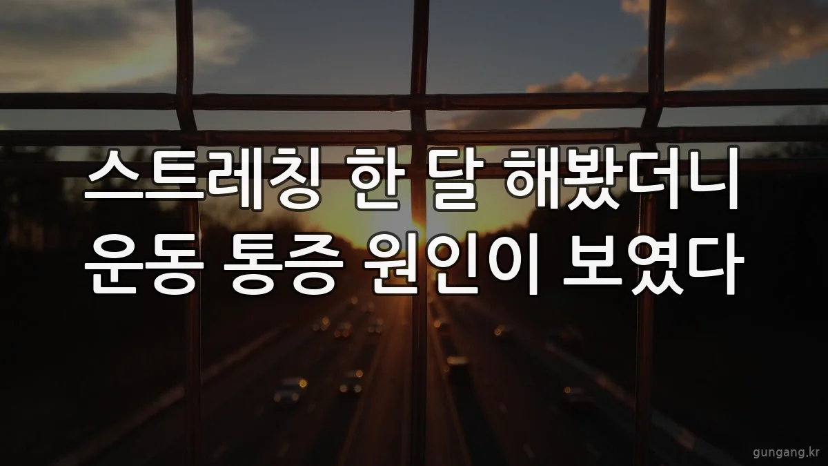 스트레칭 한 달 해봤더니 운동 통증 원인이 보였다