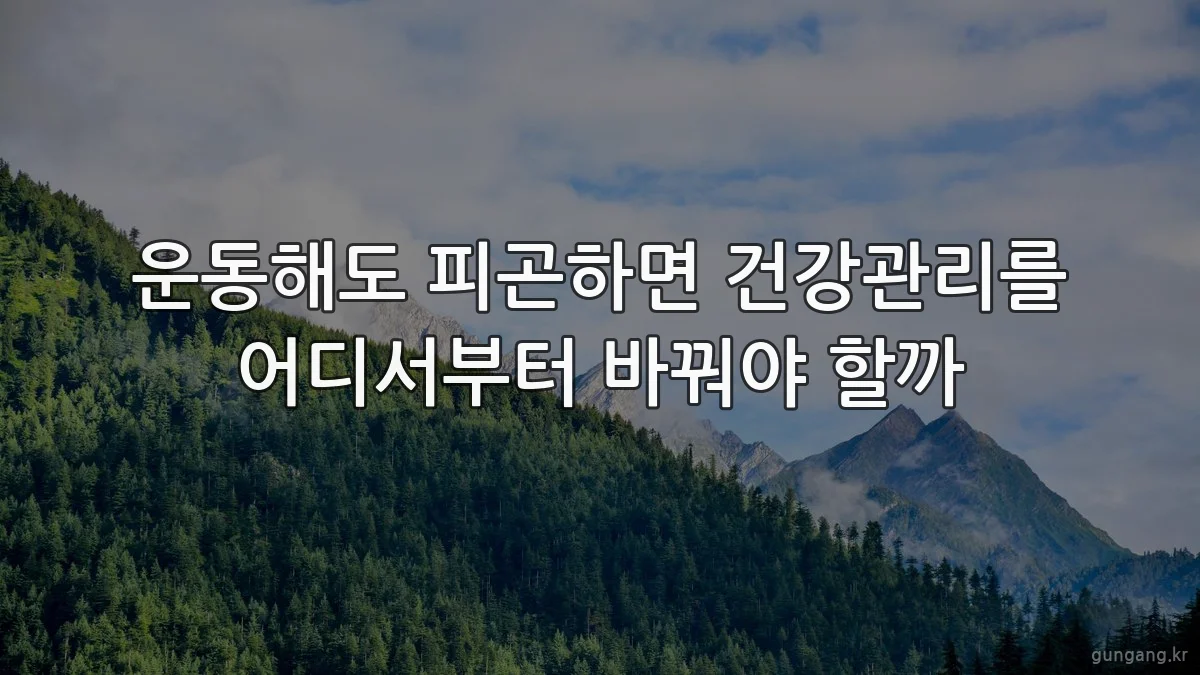 운동해도 피곤하면 건강관리를 어디서부터 바꿔야 할까