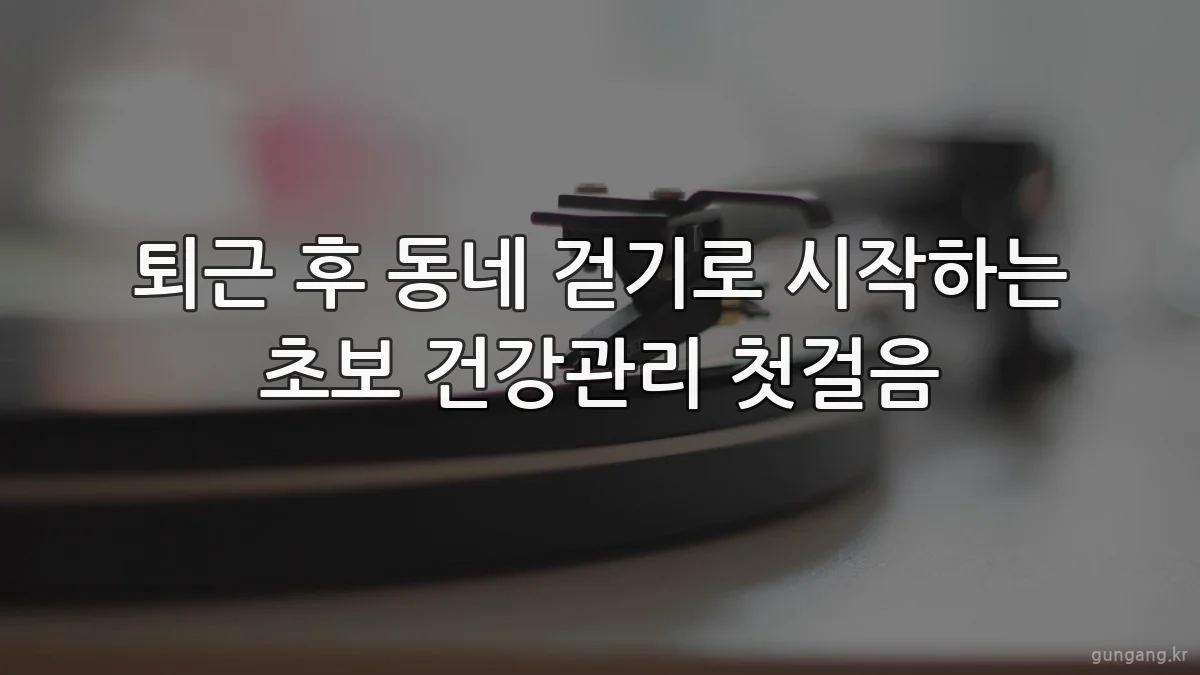 퇴근 후 동네 걷기로 시작하는 초보 건강관리 첫걸음