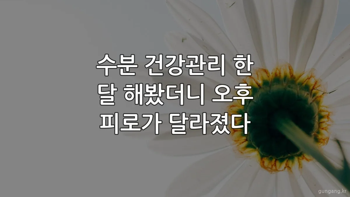 수분 건강관리 한 달 해봤더니 오후 피로가 달라졌다