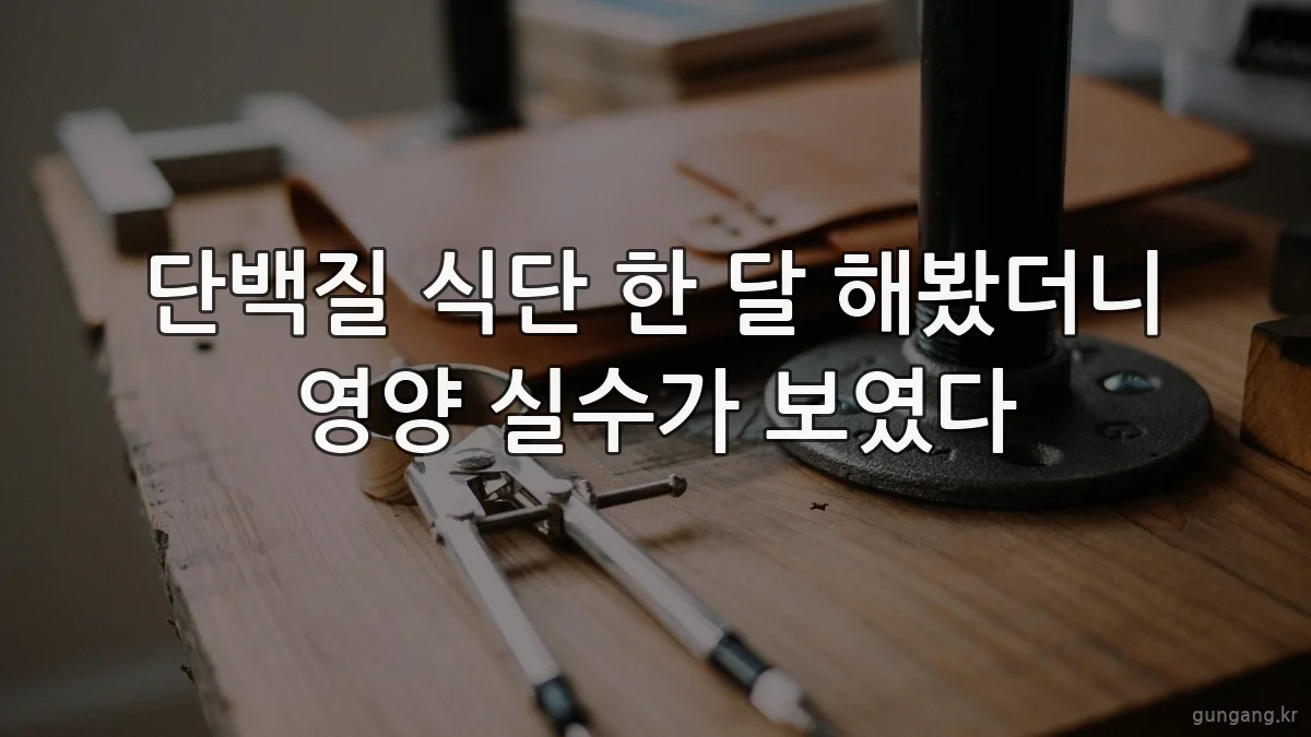 단백질 식단 한 달 해봤더니 영양 실수가 보였다