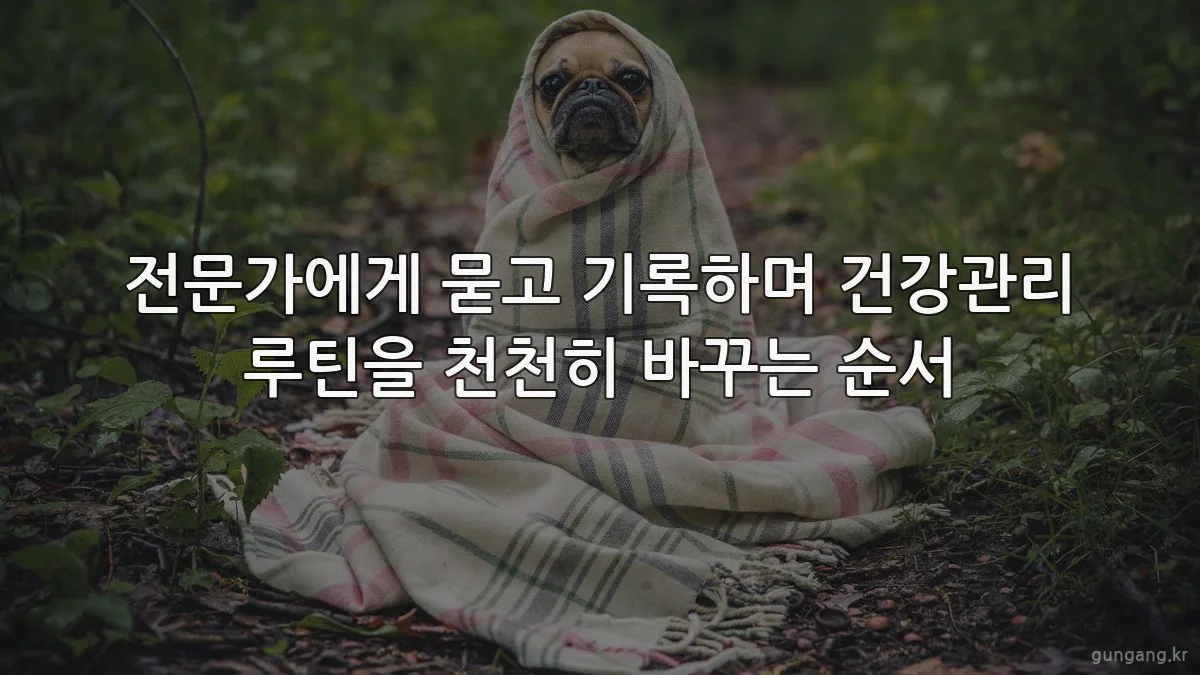 전문가에게 묻고 기록하며 건강관리 루틴을 천천히 바꾸는 순서