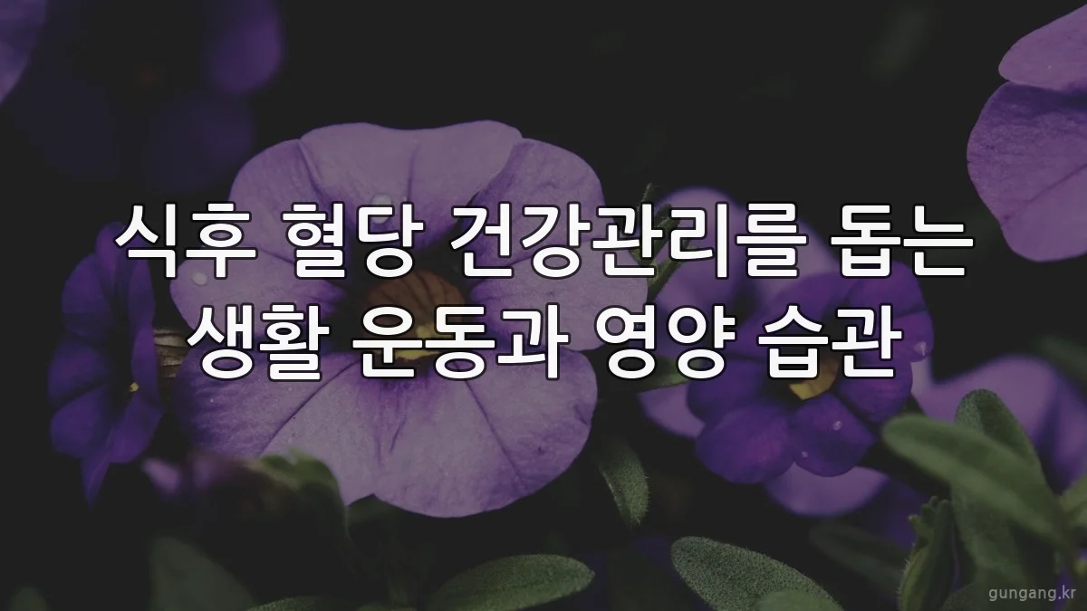 식후 혈당 건강관리를 돕는 생활 운동과 영양 습관