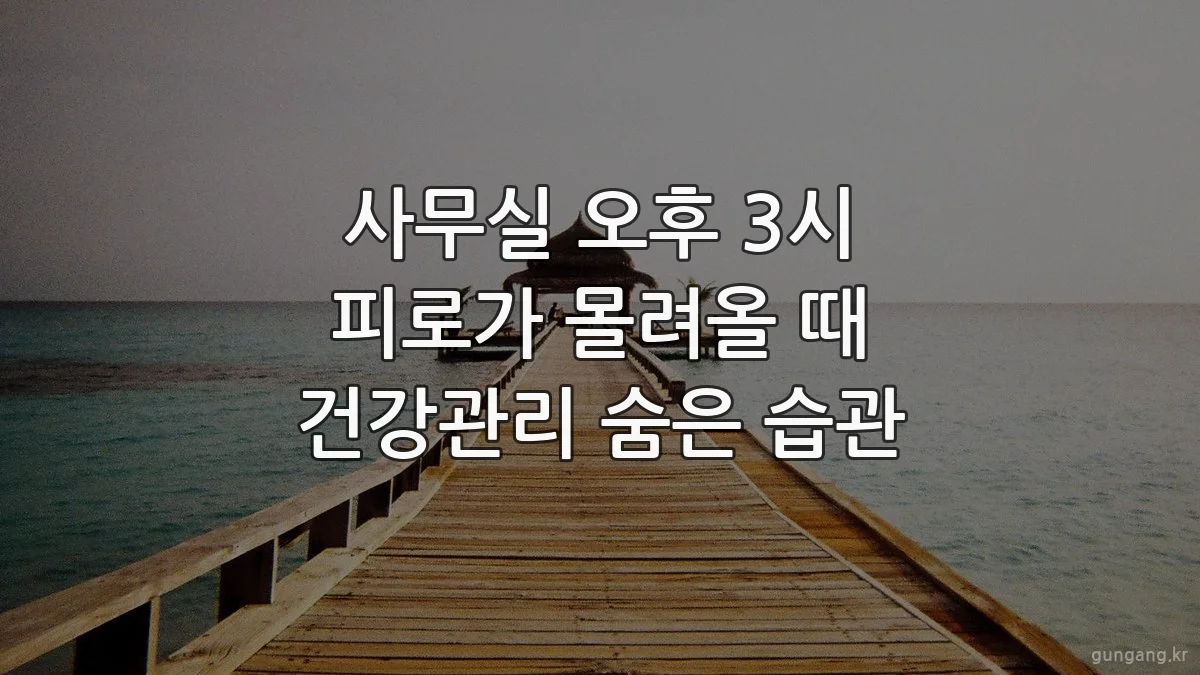 사무실 오후 3시 피로가 몰려올 때 건강관리 숨은 습관