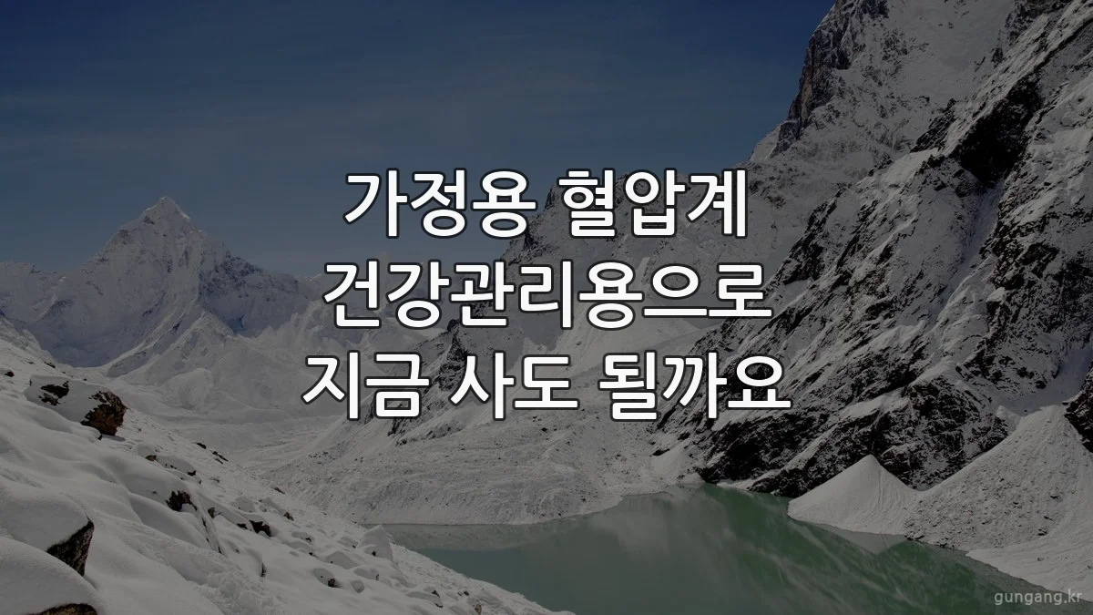 가정용 혈압계 건강관리용으로 지금 사도 될까요