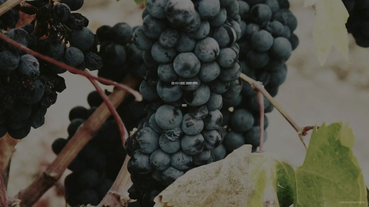 하남 KH 아파트, 스마트홈 트렌드 총정리