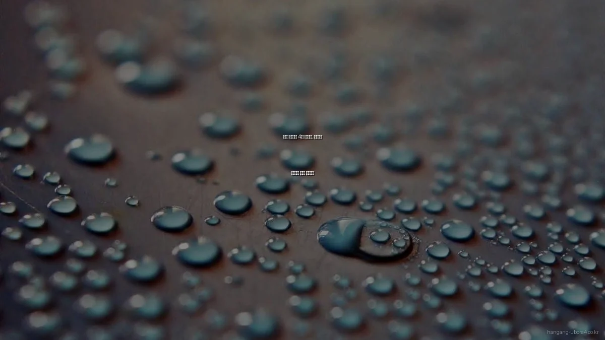 한강 유보라 4차 아파트, 예산별 스마트 구매 가이드