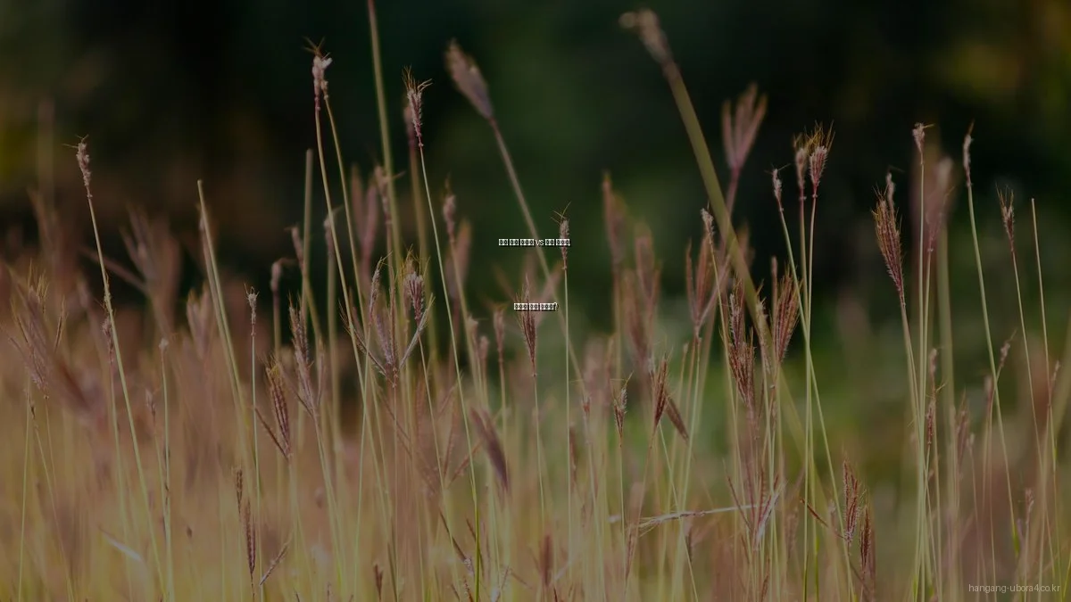 한강 조망 아파트 vs 일반 아파트, 나에게 맞는 선택은?